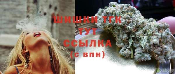 a pvp Белокуриха