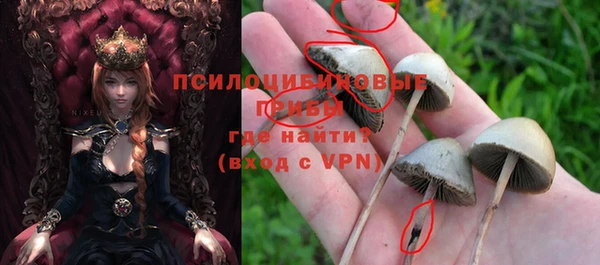 МДМА Заречный
