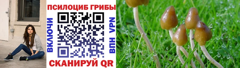 Галлюциногенные грибы Magic Shrooms Черепаново
