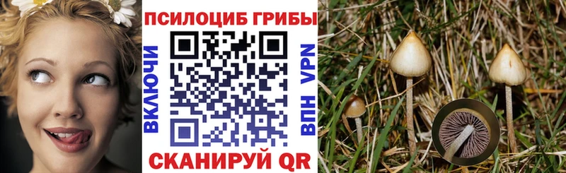 Галлюциногенные грибы мухоморы  цена   Черепаново 